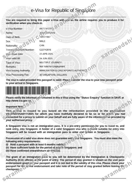 Singapore e-visa template in Word and PDF formats